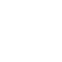 Who We Serve -Secure Data Enterprise Solutions LLC - icon-healthcare
